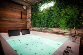 Suite & SPA 1566 Benfeld